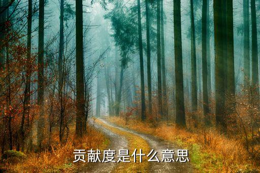  貢獻度是什么意思