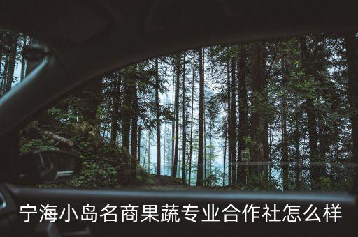  寧海小島名商果蔬專(zhuān)業(yè)合作社怎么樣