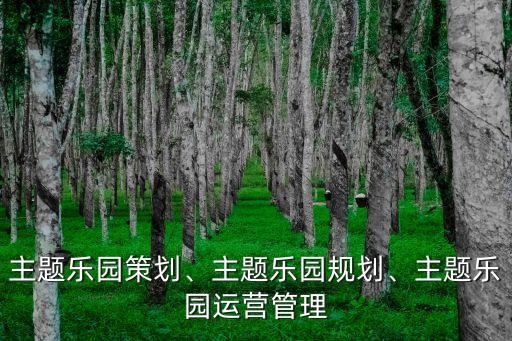 主題樂園策劃、主題樂園規(guī)劃、主題樂園運(yùn)營管理