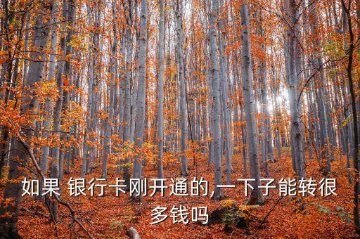 新的銀行卡可以匯錢(qián)嗎