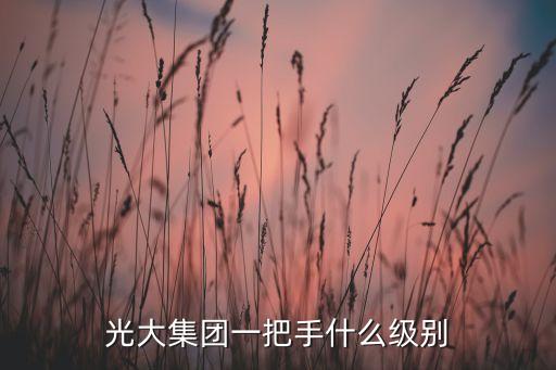光大集團(tuán)一把手什么級別