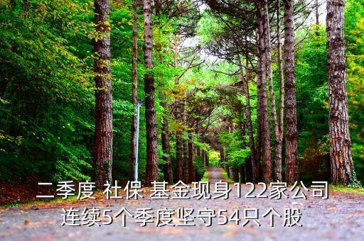 二季度 社保 基金現(xiàn)身122家公司連續(xù)5個季度堅守54只個股