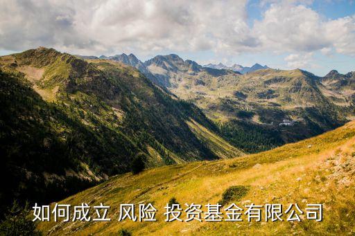 申請風(fēng)險投資需要什么,風(fēng)險投資以什么形式為主