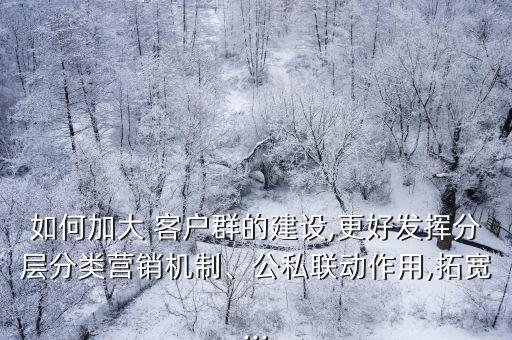 如何加大 客戶群的建設(shè),更好發(fā)揮分層分類營銷機制、公私聯(lián)動作用,拓寬...