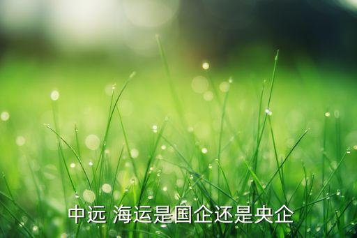  中遠(yuǎn) 海運是國企還是央企