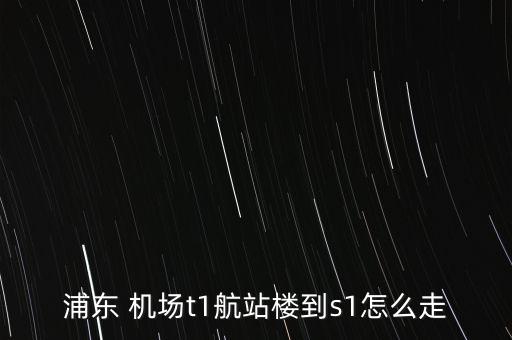 浦東 機(jī)場t1航站樓到s1怎么走