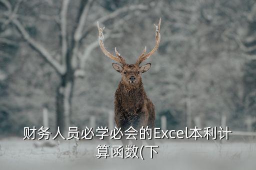 財務(wù)人員必學(xué)必會的Excel本利計算函數(shù)(下