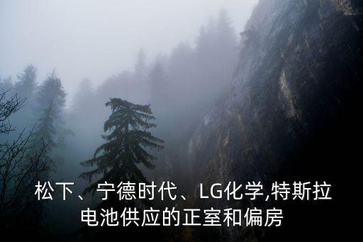  松下、寧德時(shí)代、LG化學(xué),特斯拉電池供應(yīng)的正室和偏房