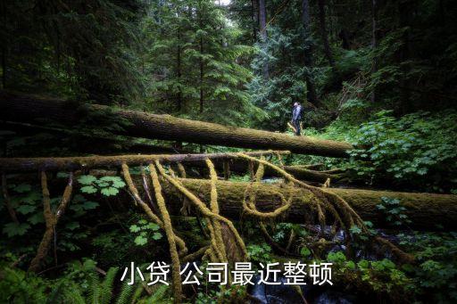 小額貸款公司風(fēng)險(xiǎn)分散,根據(jù)風(fēng)險(xiǎn)分散,銀行不行貸款