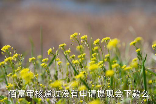  佰富審核通過沒有申請?zhí)岈F(xiàn)會(huì)下款么