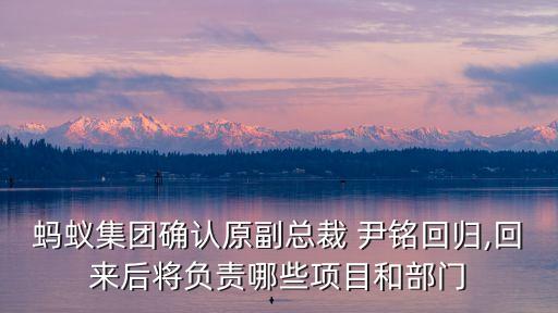 中國人壽財(cái)險(xiǎn)尹銘辭職,尹銘 中國人壽