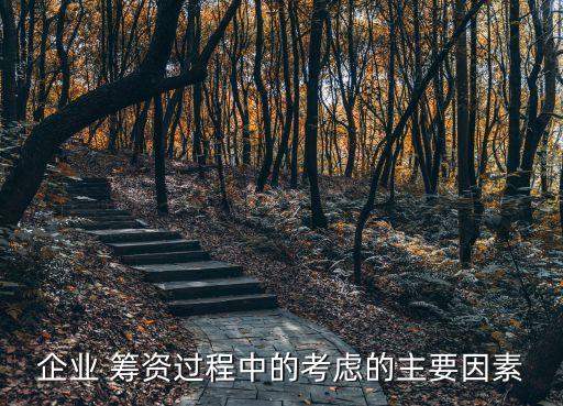 企業(yè) 籌資過(guò)程中的考慮的主要因素