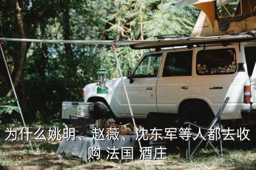為什么姚明、趙薇、沈東軍等人都去收購(gòu) 法國(guó) 酒莊