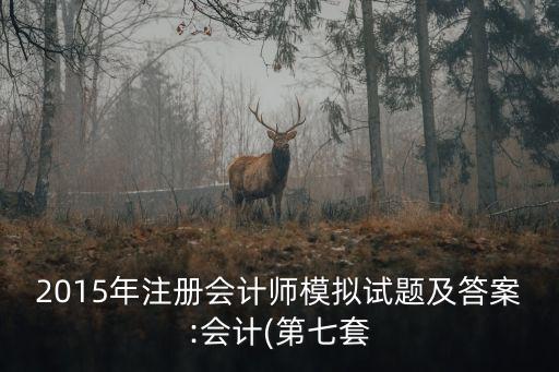 2015年注冊(cè)會(huì)計(jì)師模擬試題及答案:會(huì)計(jì)(第七套