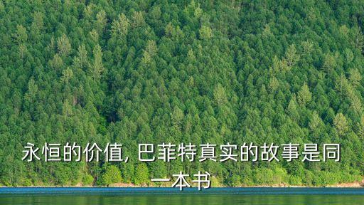 永恒的價(jià)值, 巴菲特真實(shí)的故事是同一本書(shū)