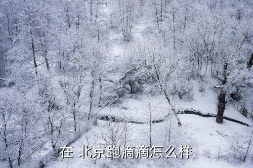 北京晚上拉專車,北京拉專車哪個(gè)平臺好