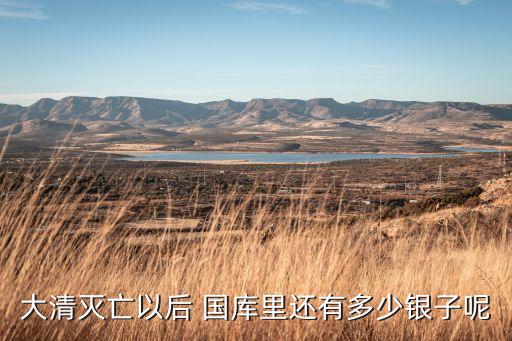 大清滅亡以后 國(guó)庫(kù)里還有多少銀子呢