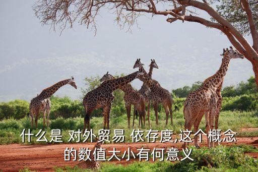 什么是 對外貿易 依存度,這個概念的數值大小有何意義