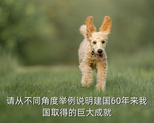 中國進入互聯(lián)網(wǎng)交易時代,沒有互聯(lián)網(wǎng)時代股票怎么交易