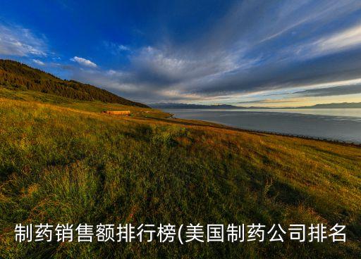 制藥銷售額排行榜(美國(guó)制藥公司排名