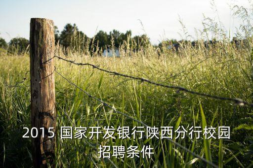 2015 國(guó)家開發(fā)銀行陜西分行校園招聘條件