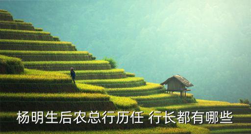 楊明生后農總行歷任 行長都有哪些