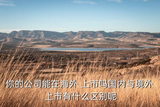 你的公司能在海外 上市嗎國內與境外 上市有什么區(qū)別呢