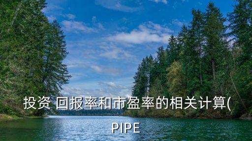  投資 回報率和市盈率的相關(guān)計算(PIPE
