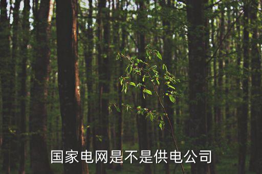 國電集團(tuán)裝機容量,國電投新能源裝機容量