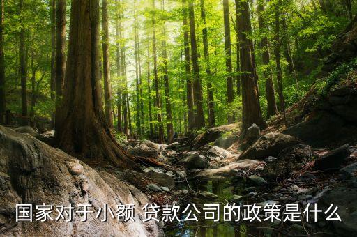 銀行開展小企業(yè)貸款業(yè)務指導意見