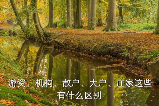 游資、機(jī)構(gòu)、散戶、大戶、莊家這些有什么區(qū)別