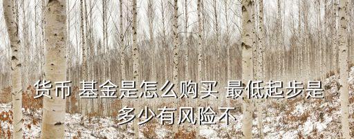  貨幣 基金是怎么購買 最低起步是多少有風(fēng)險(xiǎn)不