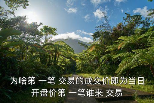 為啥第 一筆 交易的成交價(jià)即為當(dāng)日開(kāi)盤(pán)價(jià)第 一筆誰(shuí)來(lái) 交易