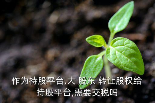 作為持股平臺,大 股東 轉(zhuǎn)讓股權給持股平臺,需要交稅嗎