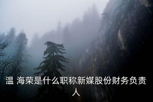 溫 海榮是什么職稱(chēng)新媒股份財(cái)務(wù)負(fù)責(zé)人