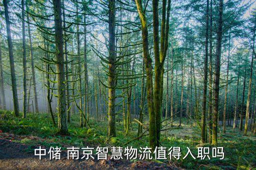  中儲 南京智慧物流值得入職嗎