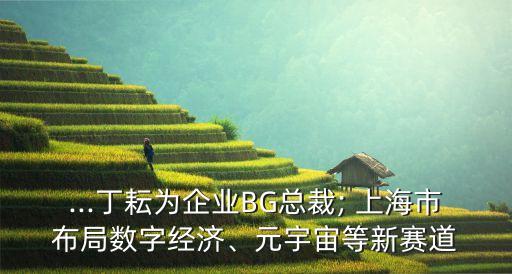 ...丁耘為企業(yè)BG總裁; 上海市布局?jǐn)?shù)字經(jīng)濟(jì)、元宇宙等新賽道