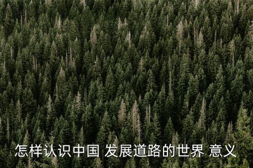 怎樣認(rèn)識(shí)中國 發(fā)展道路的世界 意義