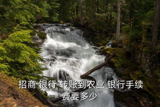  招商 銀行 轉賬到農業(yè) 銀行手續(xù)費要多少