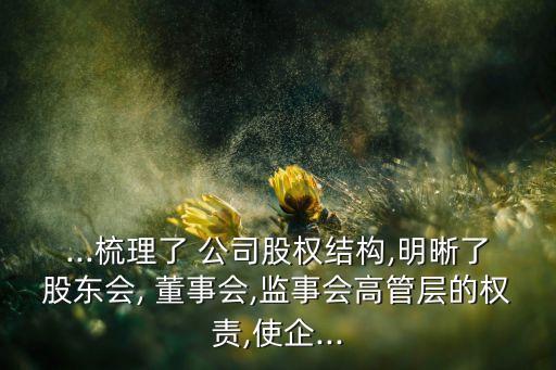 ...梳理了 公司股權(quán)結(jié)構(gòu),明晰了股東會, 董事會,監(jiān)事會高管層的權(quán)責(zé),使企...