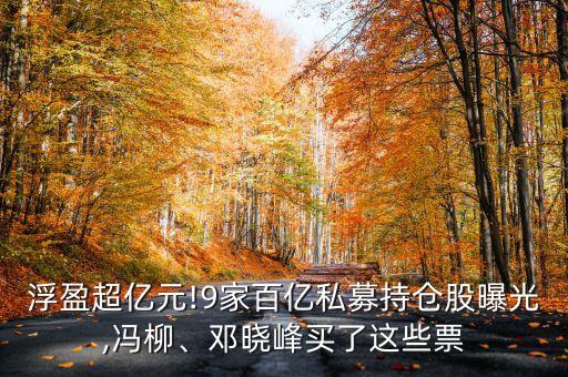 浮盈超億元!9家百億私募持倉股曝光,馮柳、鄧曉峰買了這些票