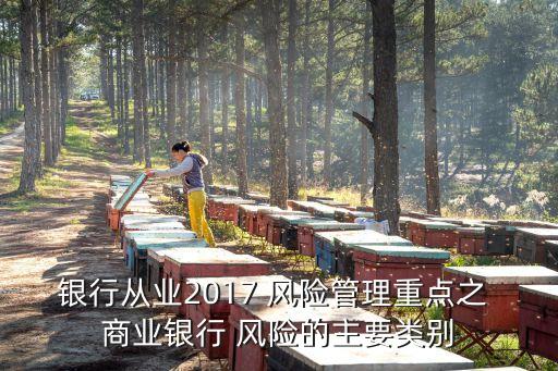 商業(yè)銀行戰(zhàn)略主要風(fēng)險來源于,風(fēng)險偏好是商業(yè)銀行在追求實(shí)現(xiàn)戰(zhàn)略