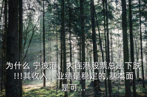 為什么 寧波港、大連港股票總是下跌!!!其收入、業(yè)績是穩(wěn)定的,基本面是可...