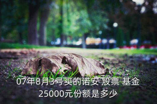 07年8月3號(hào)買(mǎi)的諾安 股票 基金25000元份額是多少