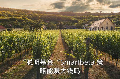 相對(duì)收益投資策略,夏普比率是投資策略收益來(lái)源嗎