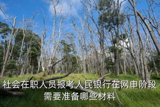 社會在職人員報考人民銀行在網(wǎng)申階段需要準備哪些材料