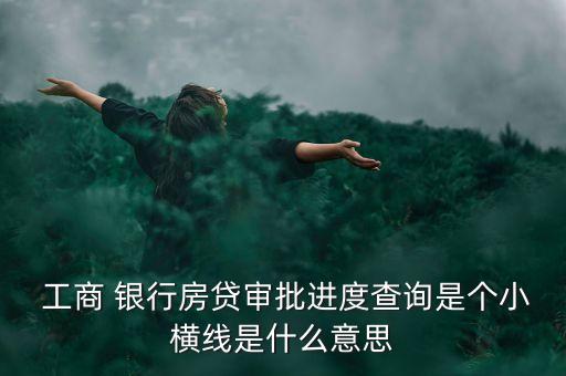  工商 銀行房貸審批進(jìn)度查詢是個(gè)小橫線是什么意思