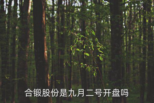合鍛股份是九月二號(hào)開盤嗎