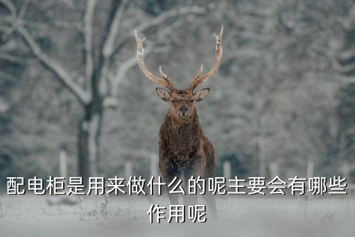 上海華聲電氣集團(tuán)經(jīng)理