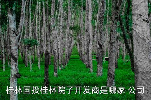 桂林國投桂林院子開發(fā)商是哪家 公司
